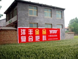 巴中如何让墙体广告展现最大化效果