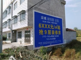 巴中墙体广告质量分析