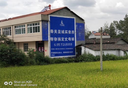 巴中决定墙体广告价格的因素有哪些?